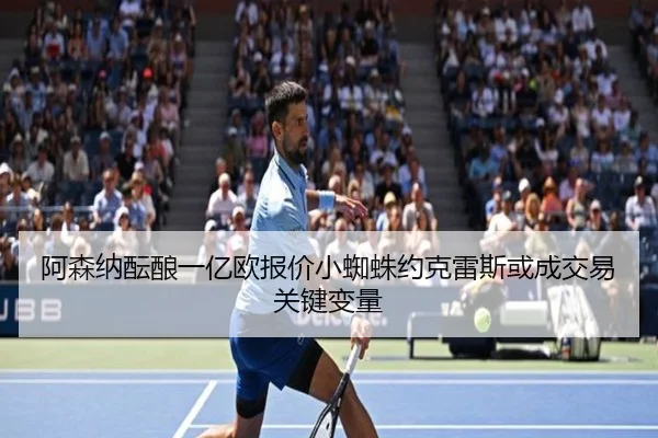 阿森纳酝酿一亿欧报价小蜘蛛约克雷斯或成交易关键变量